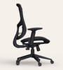 Exceed Mesh Ergonomic Chair in Black Ink Colour