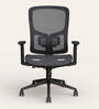 Exceed Mesh Ergonomic Chair in Black Ink Colour
