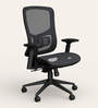 Exceed Mesh Ergonomic Chair in Black Ink Colour