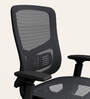 Exceed Mesh Ergonomic Chair in Black Ink Colour