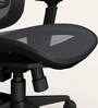 Exceed Mesh Ergonomic Chair in Black Ink Colour