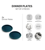 Teal Forest Hand Glazed Ceramic Microwave Safe (Set of 2) Dinner Plates