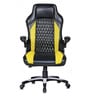 Exective Chair in Black & Yellow Colour