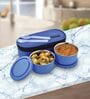 Executive  Blue Stainless steel  Microwave Safe Lunch Box