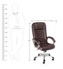 Executive Chair in Brown Colour