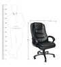 Executive Chair in Black Colour