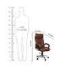 Executive Leatherette Office Chair In Walnut  Brown Colour