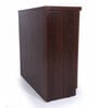Exeter 2 Door Shoe Cabinet In Wenge Finish
