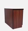Exeter Shoe Cabinet in Wenge Finish