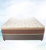 Spine Pro 6 inch Foam King Size Mattress (with 2 Free Pillows)