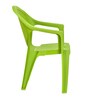 Exotica Plastic Chair in Green Finish, Set of 2