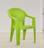 Exotica Plastic Chair in Green Finish, Set of 2