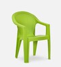 Exotica Plastic Chair in Green Finish, Set of 2