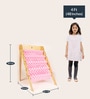 Explore Book Shelf in Baby Pink Colour