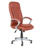 Ezra High Back Executive Chair in Tan Colour