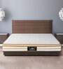 Ezy Posture P Et Plush Comfort Pocket Spring King Bed 75X72X6 Inches Mattress