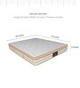 Ezy Posture P Et Plush Comfort Pocket Spring King Bed 84X72X6 Inches Mattress