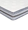 Ezy Posture Pt Firm Support Bonnell Spring Queen Bed 81X66X6 Inches Mattress