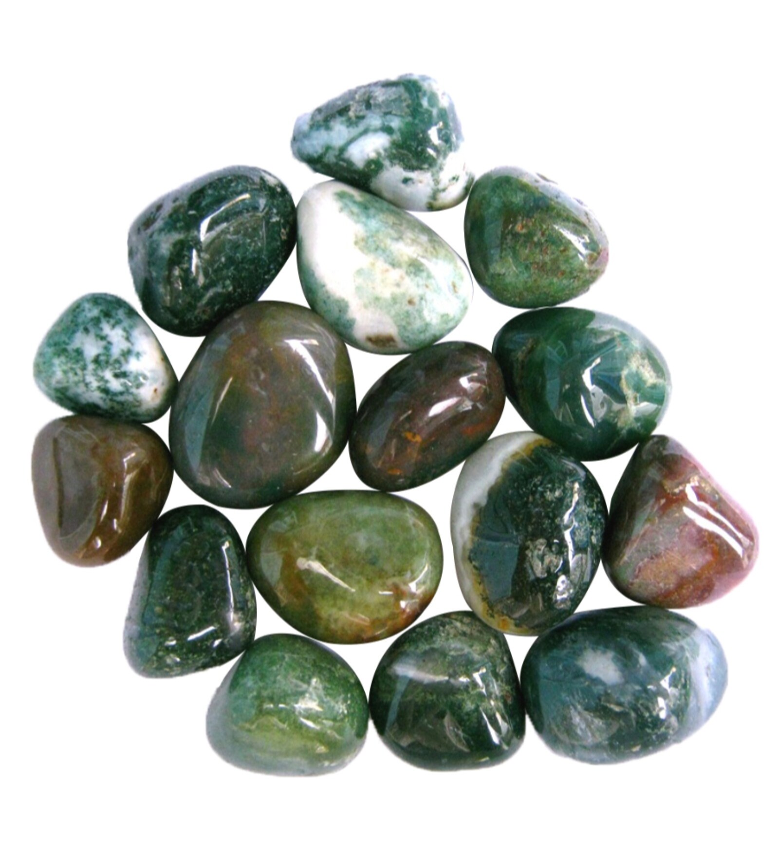 Fancy Green 5 Kg Decorative Natural Pebbles