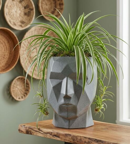 FACE PLANTER Grey 18 Inch German Polymer Round Plant Container