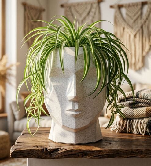 FACE PLANTER Marble White 18 Inch German Polymer Round Plant Container