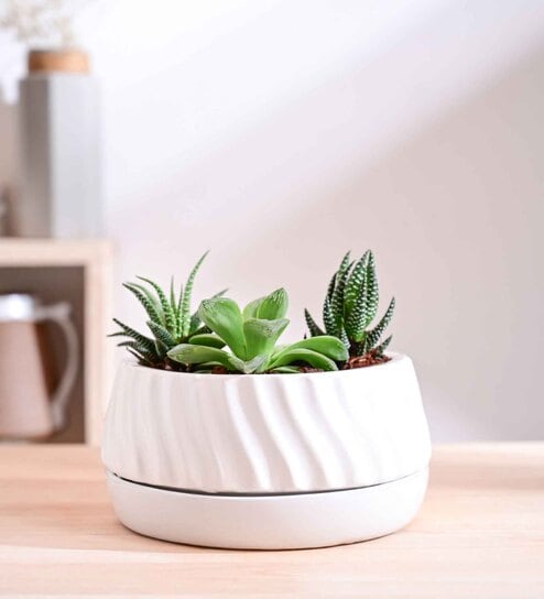 Fallen Angel Medium White Ceramic Planter