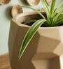FACE PLANTER Beige 18 Inch German Polymer Round Plant Container