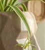 FACE PLANTER Choco Brown 18 Inch German Polymer Round Plant Container