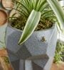 FACE PLANTER Grey 18 Inch German Polymer Round Plant Container