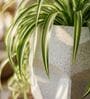 FACE PLANTER Marble White 18 Inch German Polymer Round Plant Container