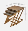 Fait Nesting Table In Brown Colour (Set of 3)