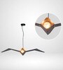 FALCAO Black Iron Pendant Light