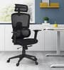 Falcon Ergonomic Chair with Original Korean Mesh, Auto Ajustable Lumbar Support and 3D Armrests In Black Colour