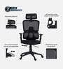 Falcon Ergonomic Chair with Original Korean Mesh, Auto Ajustable Lumbar Support and 3D Armrests In Black Colour