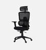 Falcon Ergonomic Chair with Original Korean Mesh, Auto Ajustable Lumbar Support and 3D Armrests In Black Colour