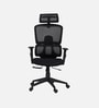 Falcon Ergonomic Chair with Original Korean Mesh, Auto Ajustable Lumbar Support and 3D Armrests In Black Colour