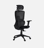 Falcon Ergonomic Chair with Original Korean Mesh, Auto Ajustable Lumbar Support and 3D Armrests In Black Colour