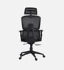 Falcon Ergonomic Chair with Original Korean Mesh, Auto Ajustable Lumbar Support and 3D Armrests In Black Colour