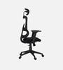 Falcon Ergonomic Chair with Original Korean Mesh, Auto Ajustable Lumbar Support and 3D Armrests In Black Colour