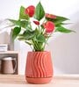 Fallen Angel Extra Small Coral Ceramic Planter