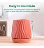 Fallen Angel Extra Small Coral Ceramic Planter