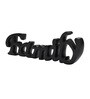 Family Black Aluminium Showpiece
