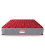Fantasia 8 Inches Bonnell Spring Queen Size Mattress with SrtX Technology