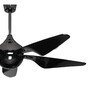 Fanzart Dark Knight 48  Ceiling Fan with 5 x ABS With Optional Remote Control Integration (Black)