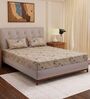 Beige Floral 180 TC Polyester Double Size Bedsheet With 2 Pillow Covers