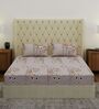 Beige Floral 180 TC Polyester Double Size Bedsheet With 2 Pillow Covers