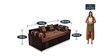 Fern Queen Size Pull-Out Sofa Cum Bed with Storage & Mattress in Brown Colour