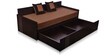 Fern Queen Size Pull-Out Sofa Cum Bed with Storage & Mattress in Brown Colour