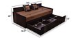 Fern Queen Size Pull-Out Sofa Cum Bed with Storage & Mattress in Brown Colour