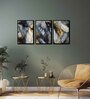 Feather Multicolour Canvas & MDF (Set of 3) Framed Art Panels
